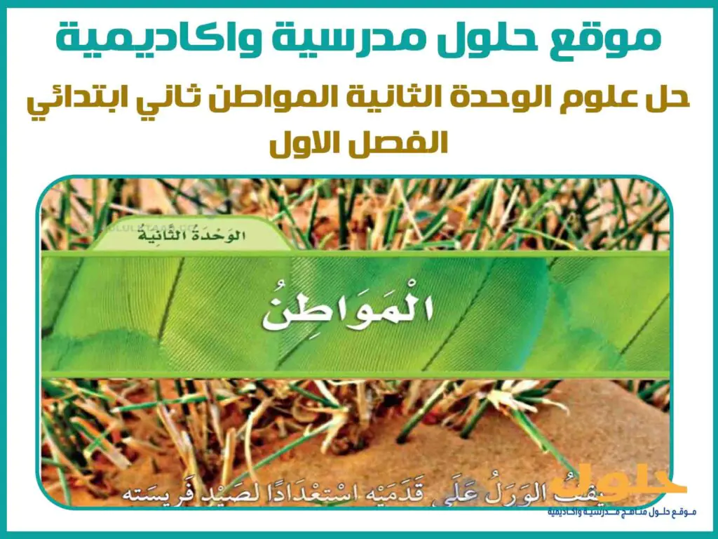 حل علوم الوحدة الثانية المواطن ثاني ابتدائي الفصل الاول